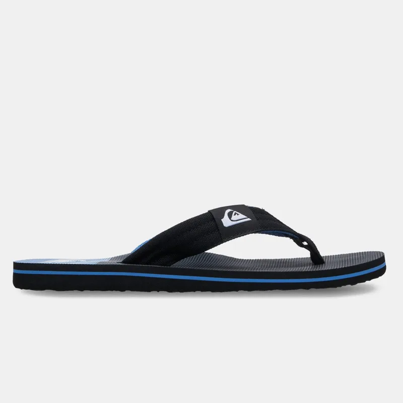 Quiksilver Molokai Layback 26 Ανδρικές Σαγιονάρες (9000271385_93570)