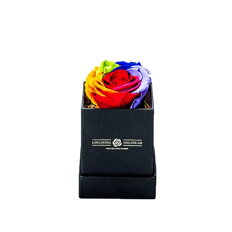 Forever Roses Rainbow Essential 6x9cm