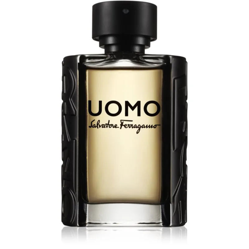 Ferragamo Uomo Eau de Toilette για άντρες 100 ml