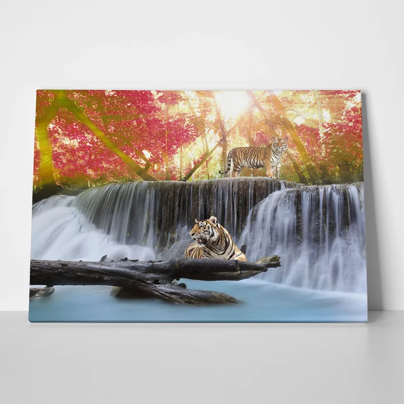Πινακας σε καμβά TIGERS JUNGLE