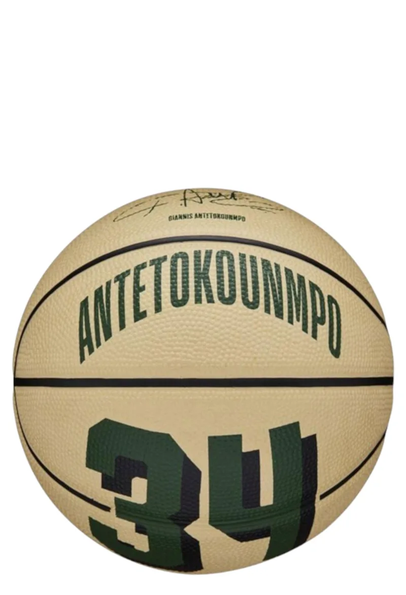 Μπάλα Μπάσκετ Wilson NBA Player Icon Mini Giannis Gr WZ4007501XB3-00