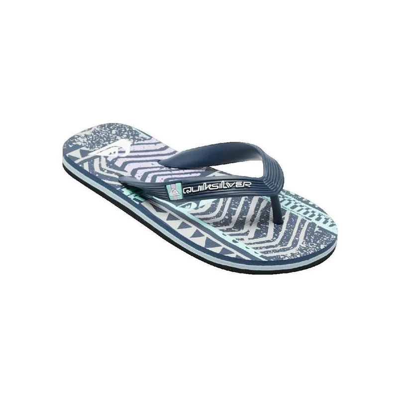 Σαγιονάρες Quiksilver Molokai Art