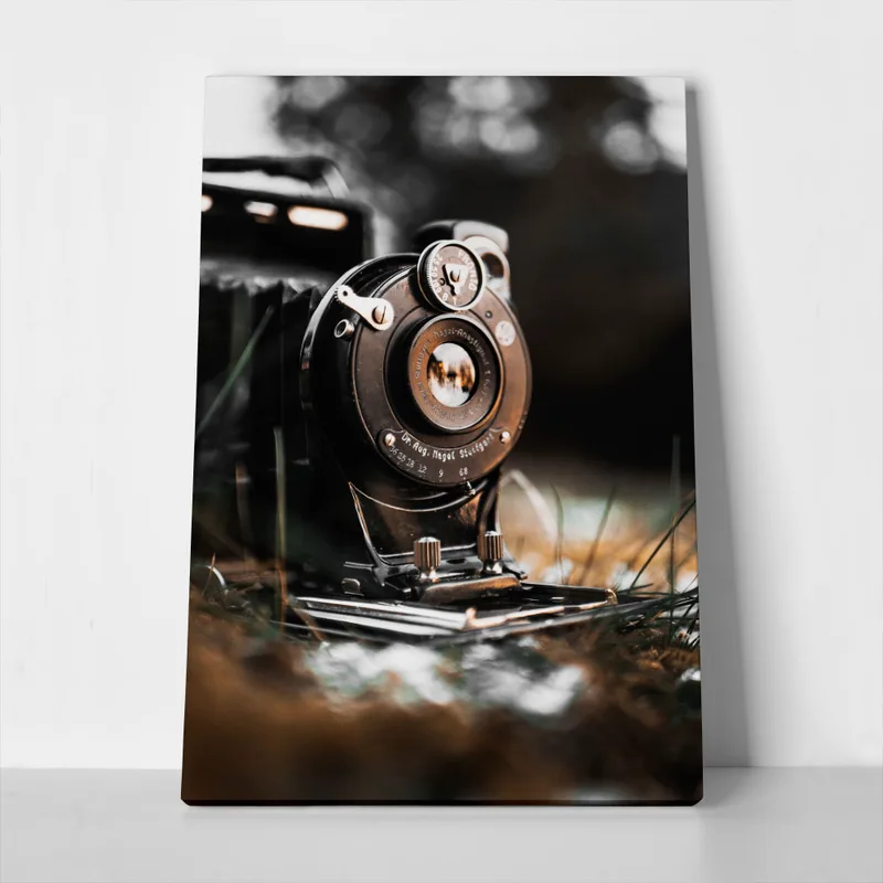 Πίνακας σε Καμβά RUSTIC FARMHOUSE CAMERA 2