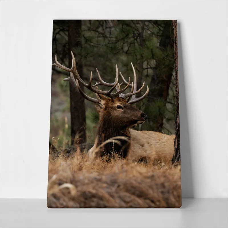 Πίνακας σε Καμβά RUSTIC FARMHOUSE DEER 2