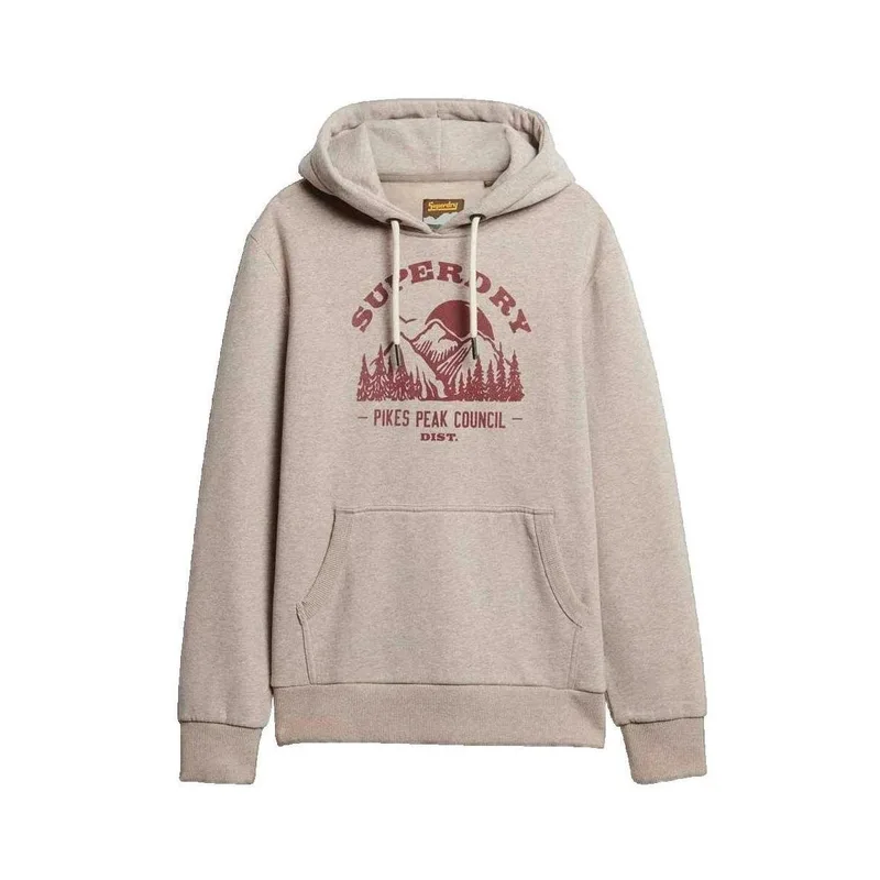 T-shirt με κουκούλα Superdry Sweat à capuche Lo-fi Outdoor Graphic