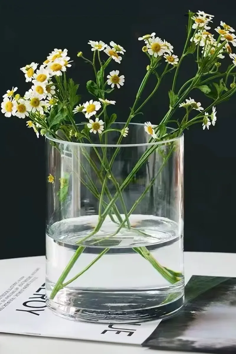 Βαζο Κυλινδρικο Απο Διαφανο Γυαλι 30Cm 19x19x30cm Μονόχρωμο OEM