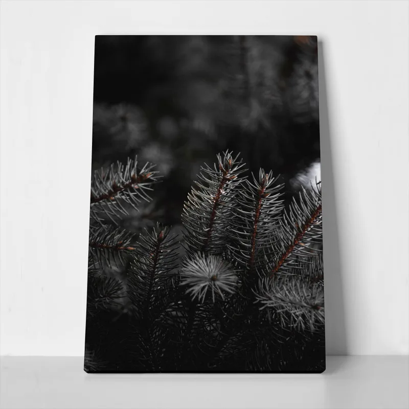 Πίνακας σε Καμβά RUSTIC FARMHOUSE PINE LEAVES 2