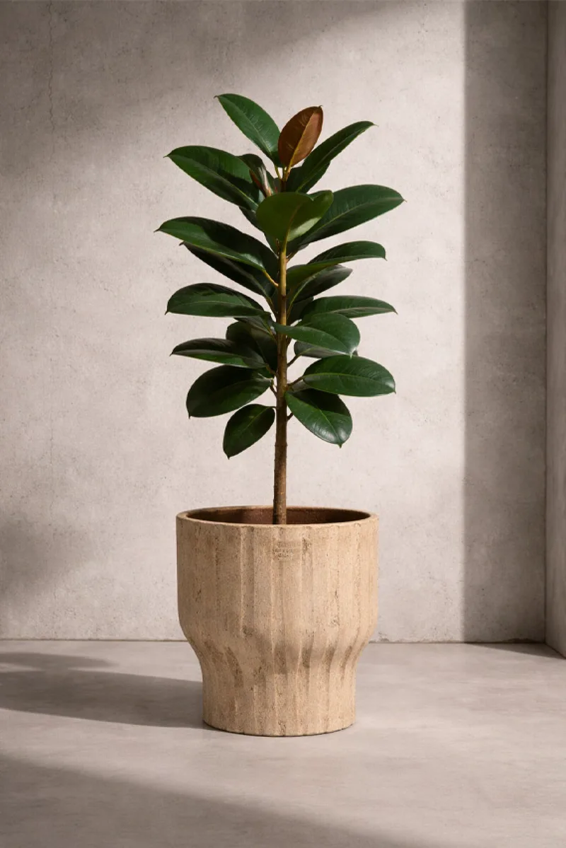 Κασπω Απο Ανακυκλωμενη Τερακοτα Καφε 22Cm 22x22x24cm Μονόχρωμο Kaeming