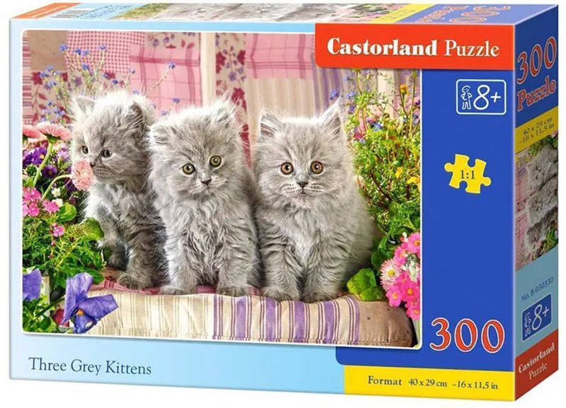 THREE GREY KITTENS CASTORLAND 300 ΚΟΜΜΑΤΙΑ