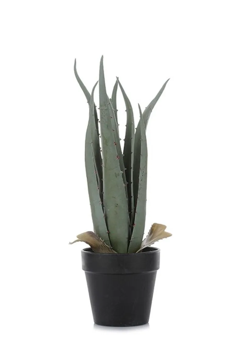 Aloe Vera Σε Γλαστρα 35Cm 15x15x35cm Μονόχρωμο Kaeming