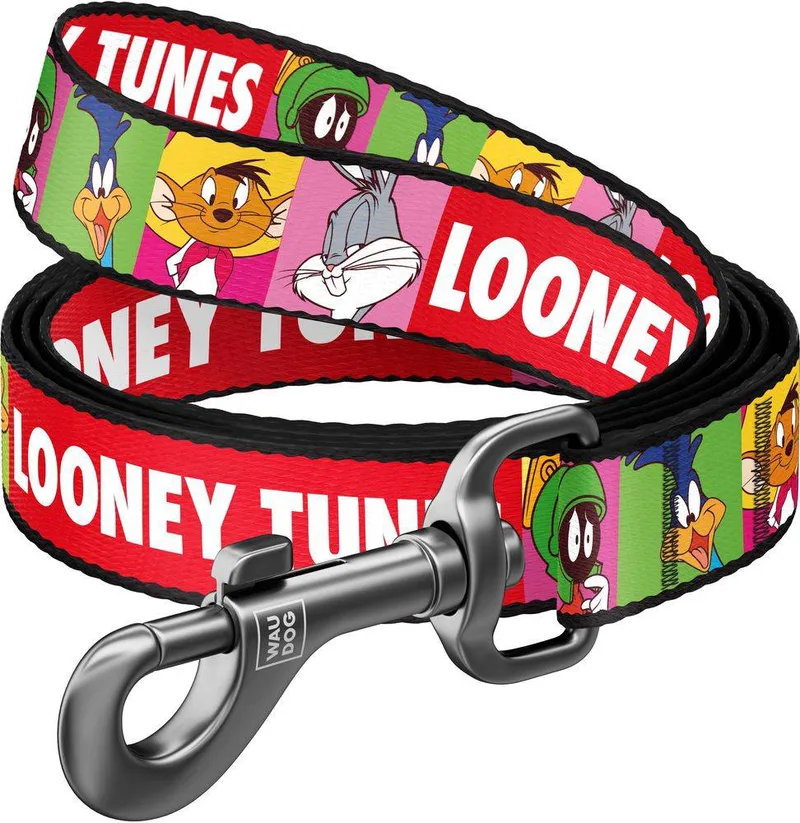 ΛΟΥΡΑΚΙ WAUDOG LOONEY 2 (25MM X 122CM)