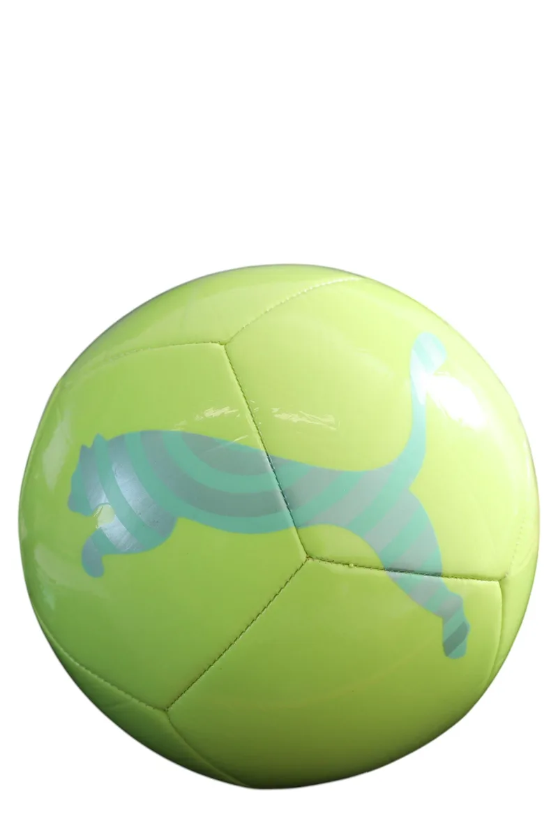 Μπάλα Ποδοσφαίρου Puma Training Icon 083993-02