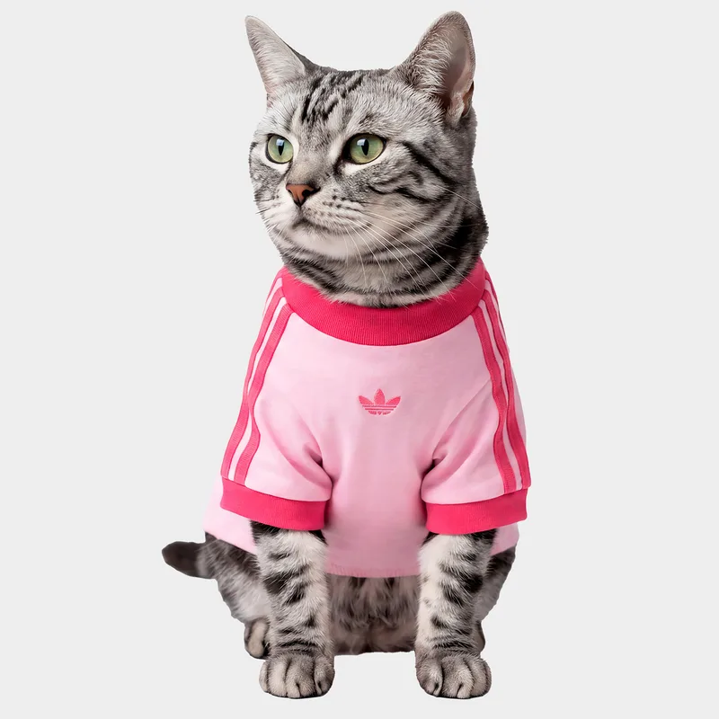 adidas Originals Pet Cali Tee (9000294590_97935)
