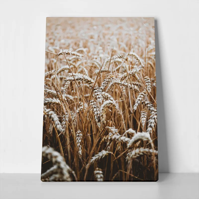 Πίνακας σε Καμβά RUSTIC FARMHOUSE WHEAT 5