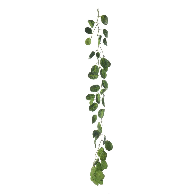 Supergreens Τεχνητή Γιρλάντα Καλαθέα "Maranta" Πράσινη 170 εκ.