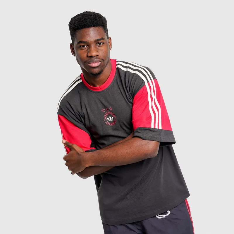 adidas Originals Paneled Graphic Ανδρικό T-shirt (9000262225_20911)