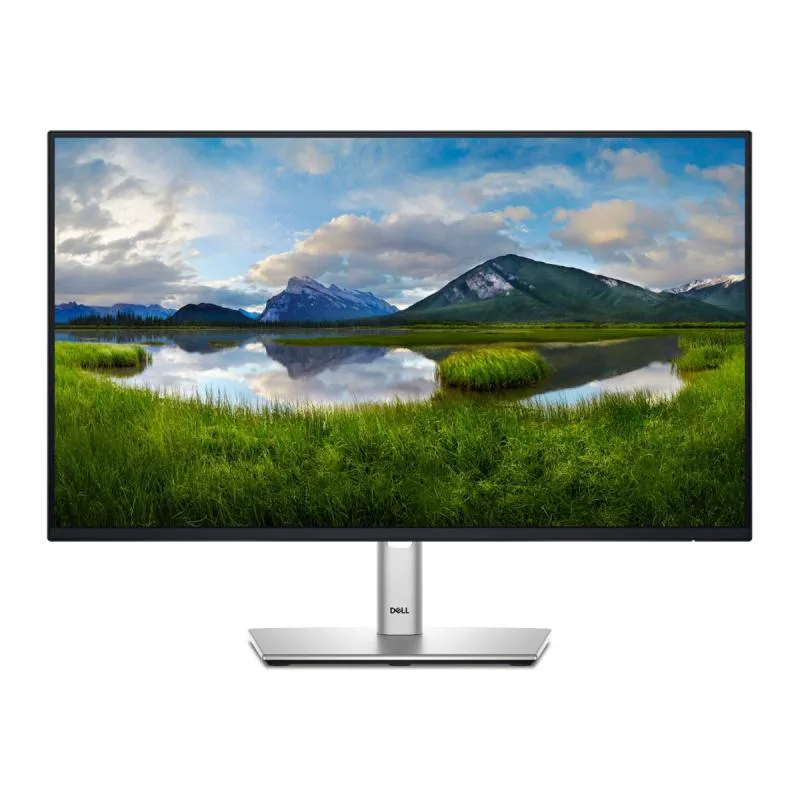 Dell Monitor P2425H (DELL-P2425H)