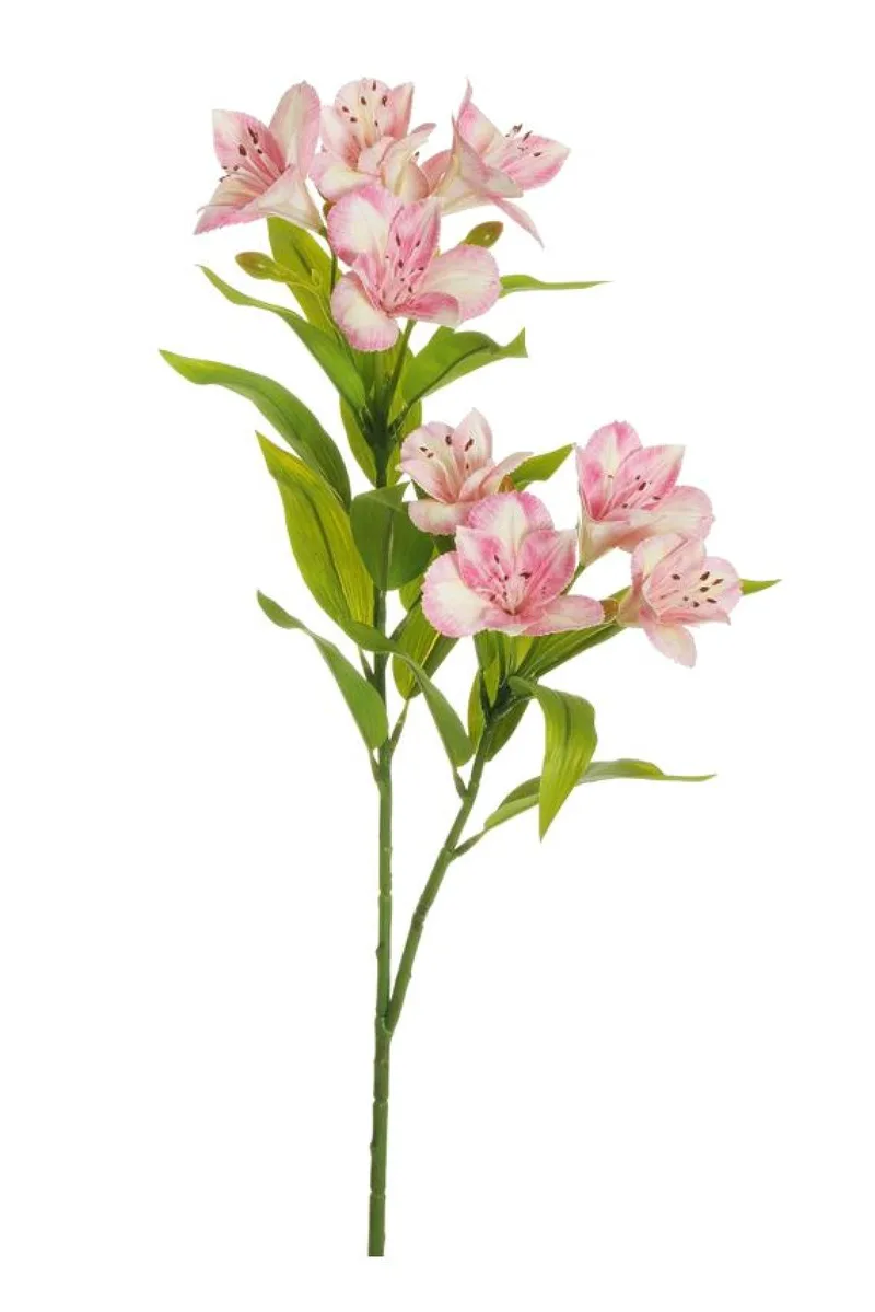 Λουλουδι Αλστραιμερια Ροζ 0x0x78cm Μονόχρωμο Evergreens