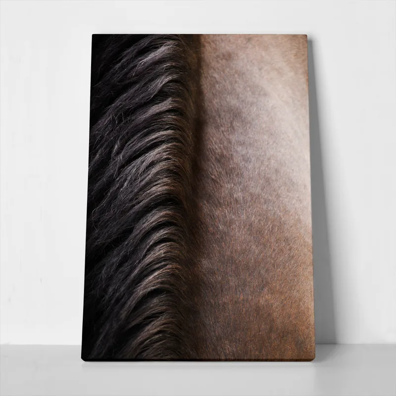 Πίνακας σε Καμβά RUSTIC FARMHOUSE HORSE HAIR