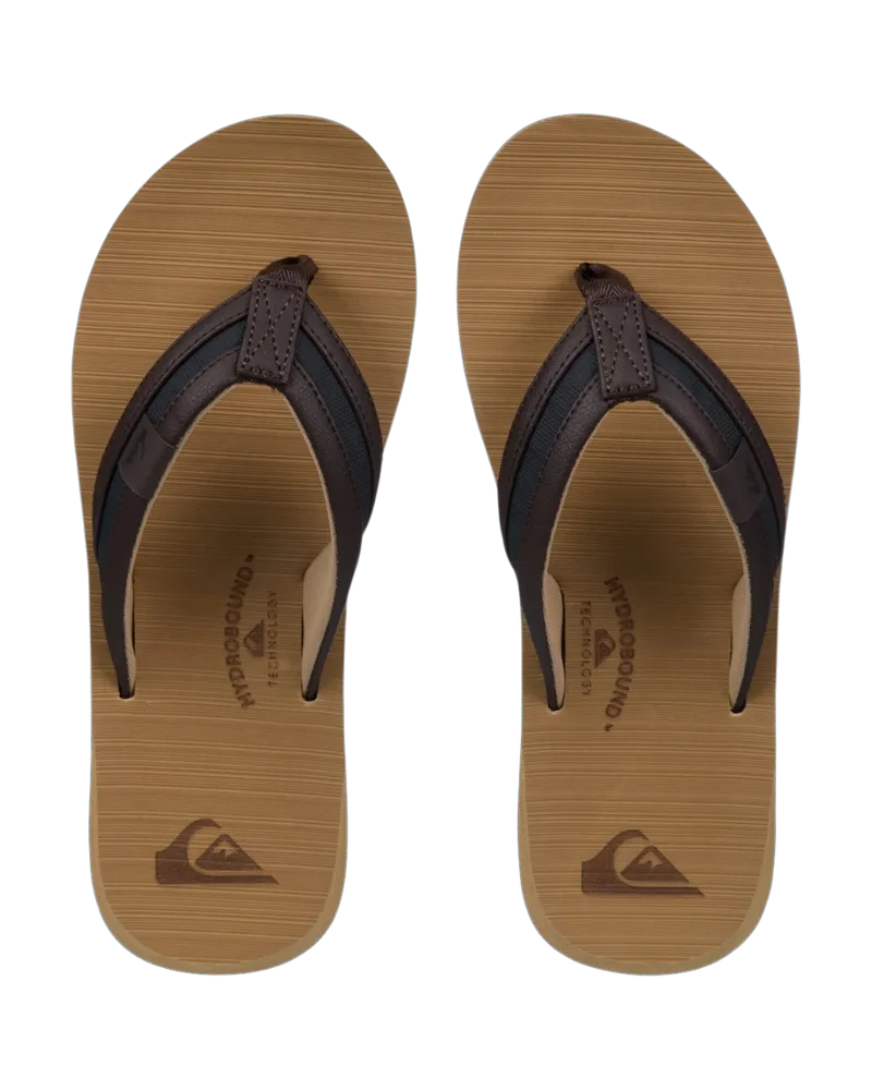Quiksilver Carver Squish Ανδρικές Σαγιονάρες EQYL100063-SDC Μπεζ