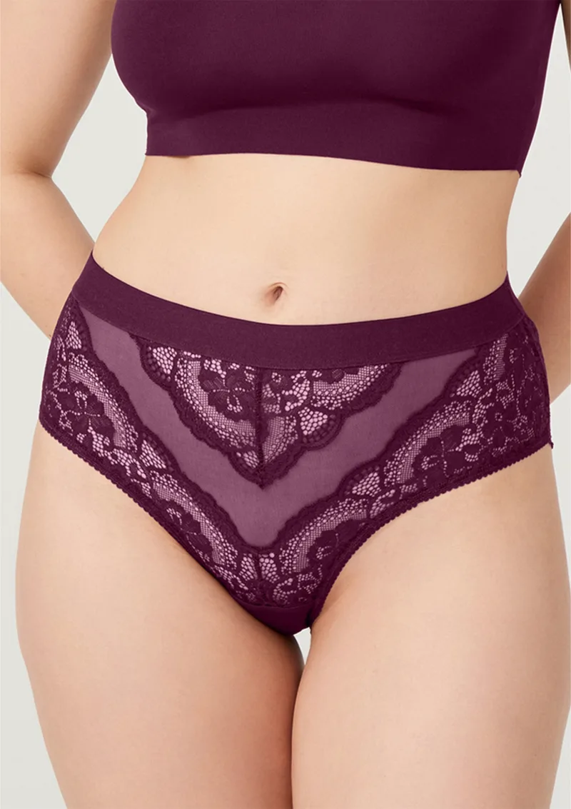Plus Size Δαντελένιο Σλιπ Ψηλόμεσο Διαφάνεια - Δαμασκηνί
