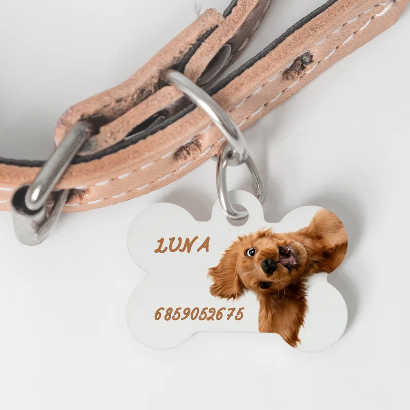 My Pet - Ταυτότητα Κατοικιδίου - Στρογγυλό