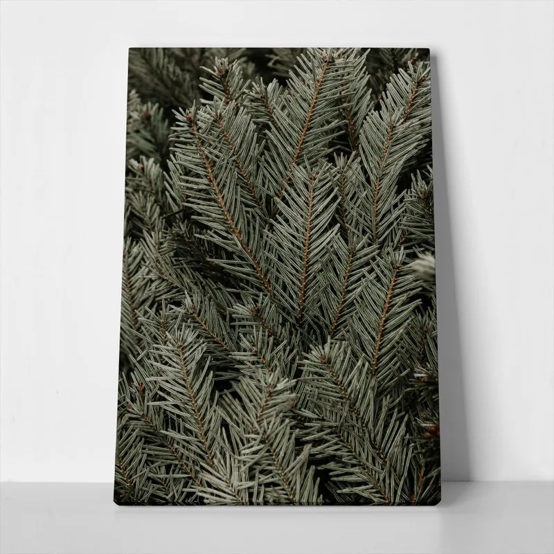Πίνακας σε Καμβά RUSTIC FARMHOUSE PINE LEAVES