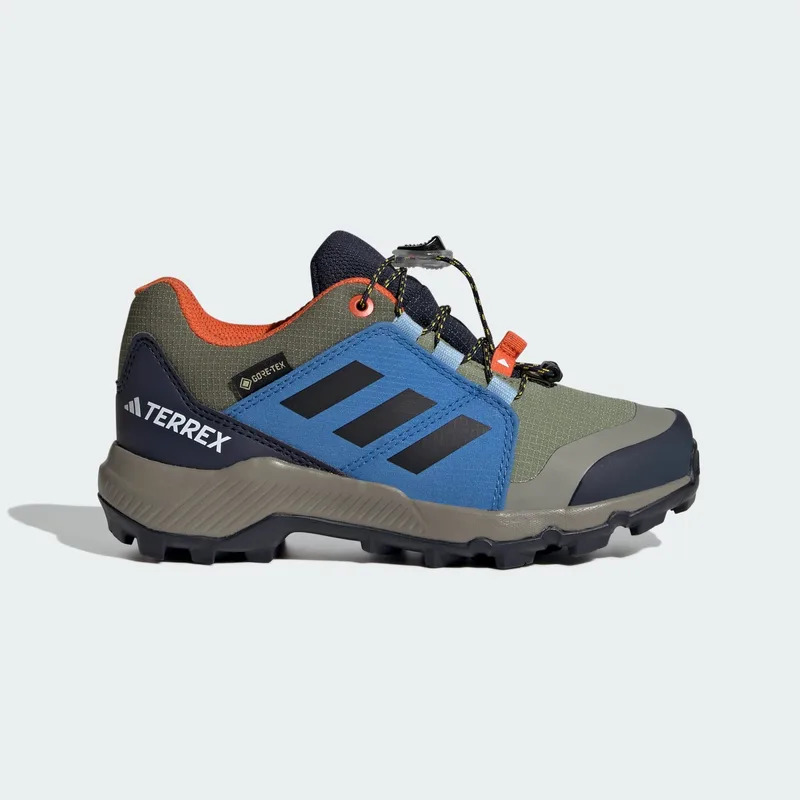 adidas Terrex Gore-Tex Hiking Παιδικά Παπούτσια (9000259927_91408)