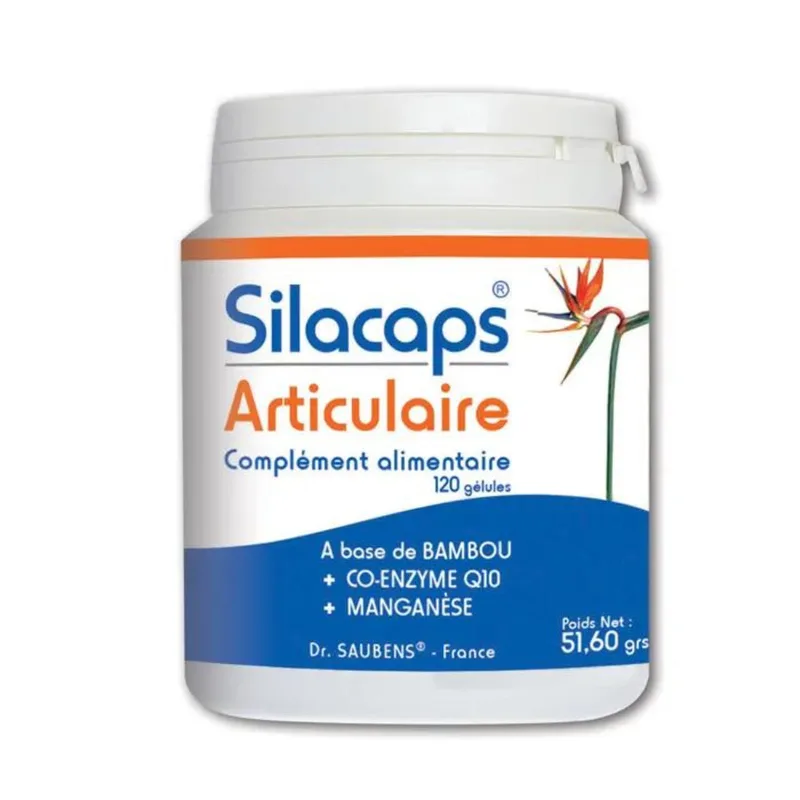 Labo Sante Silica Silacaps Articolare 120 Capsules