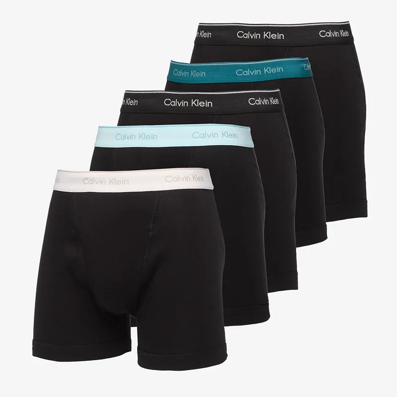 Μπόξερς Calvin Klein Boxer Brief 5-Pack Blue L