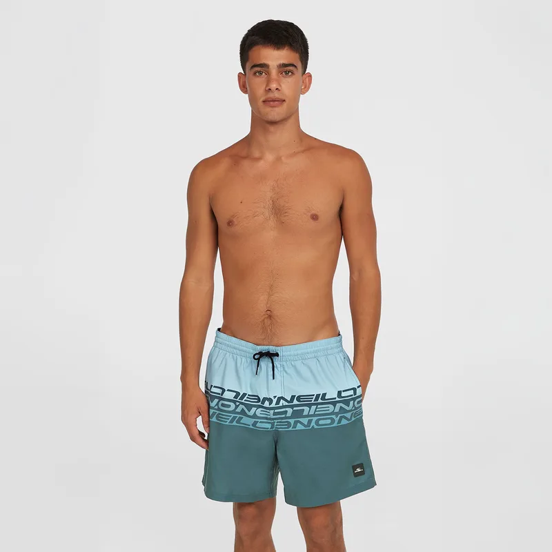 O'NEILL CALI STRIPE 16'' SWIM SHORTS ΜΠΛΕ