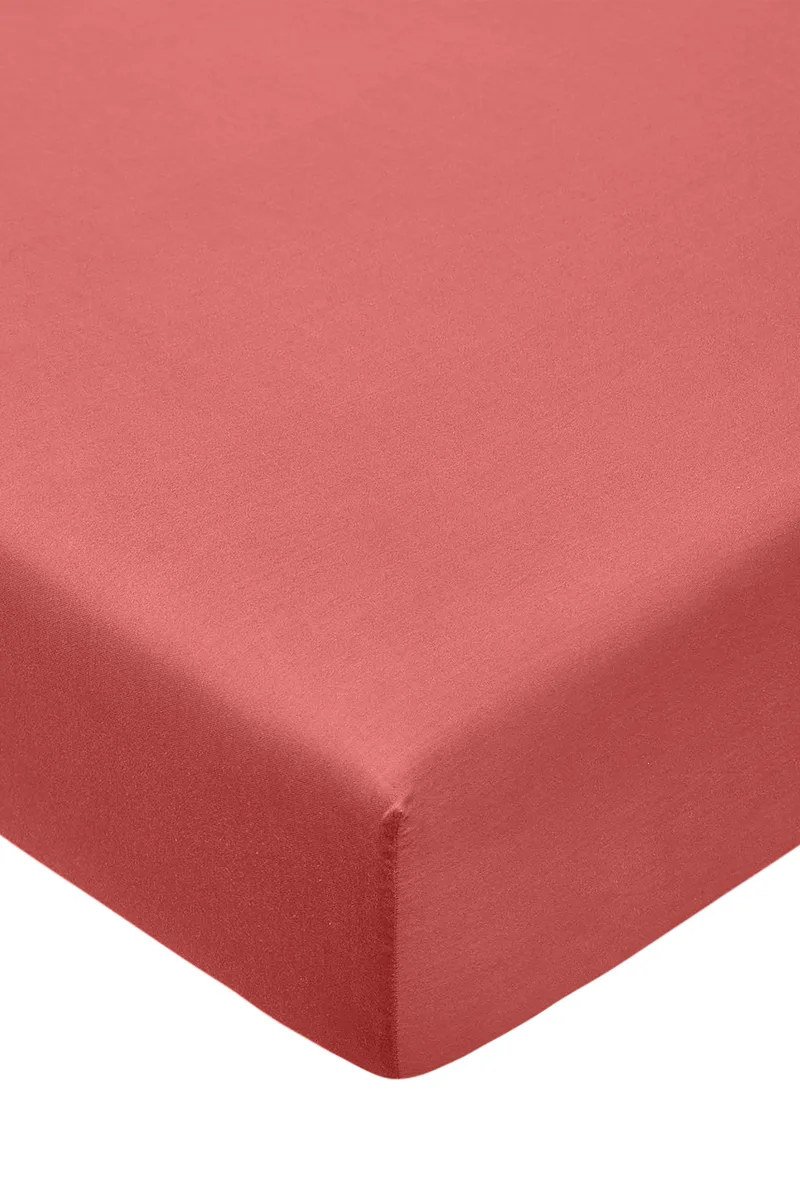 Coincasa σεντόνι διπλό σατέν fitted μονόχρωμο 200 x 165 cm - 007139509 Κεραμιδί