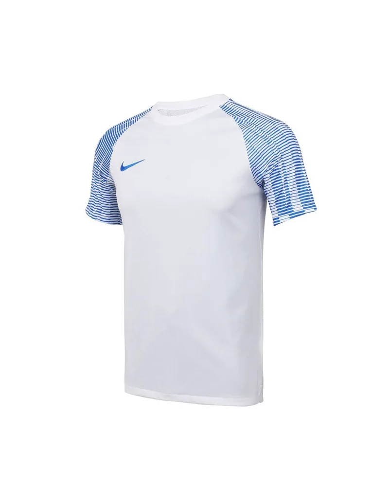 Nike DriFIT Academy DH8031 102 Tshirt