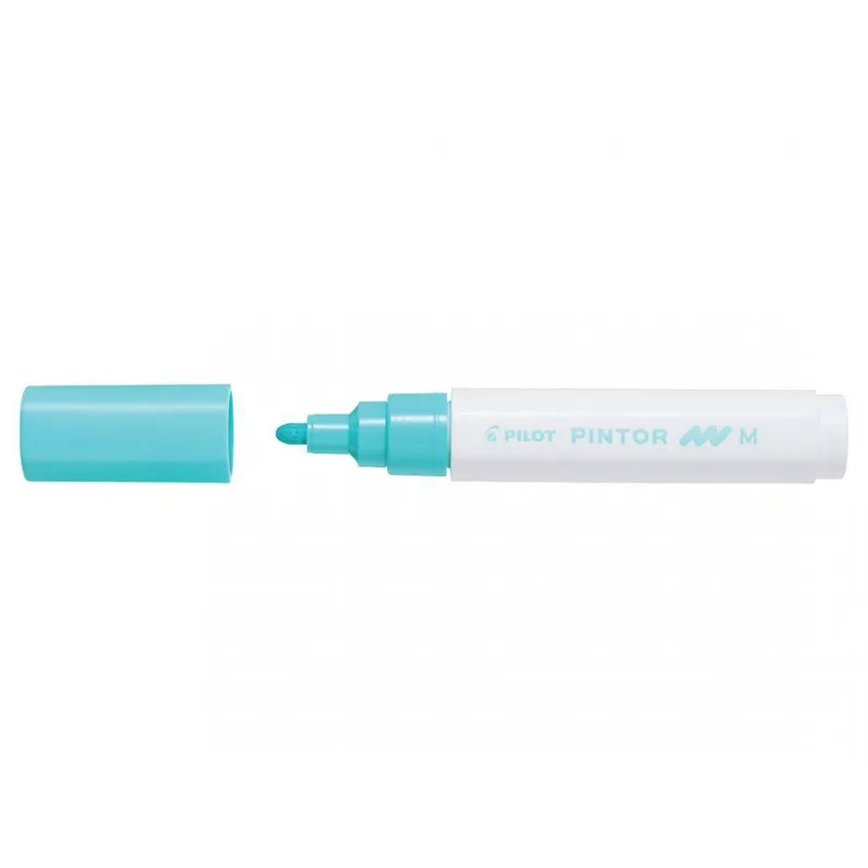 Μαρκαδόρος Pilot Paint Pintor Medium Pastel Green SW-PT-M-PG