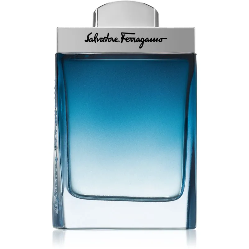 Ferragamo Subtil Pour Homme Eau de Toilette για άντρες 100 ml