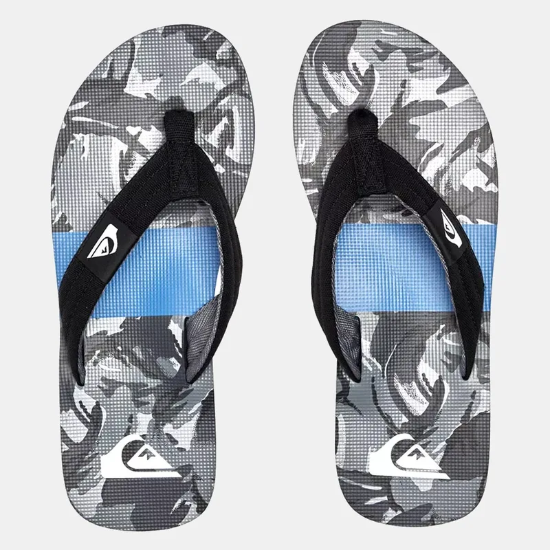 Quiksilver Molokai Layback Ανδρικές Σαγιονάρες (9000147369_9554)