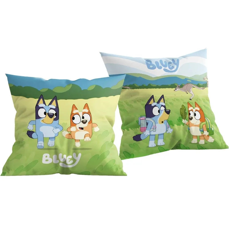Διακοσμητικό Μαξιλάρι 38x38 Dimcol Bluey 09 Green