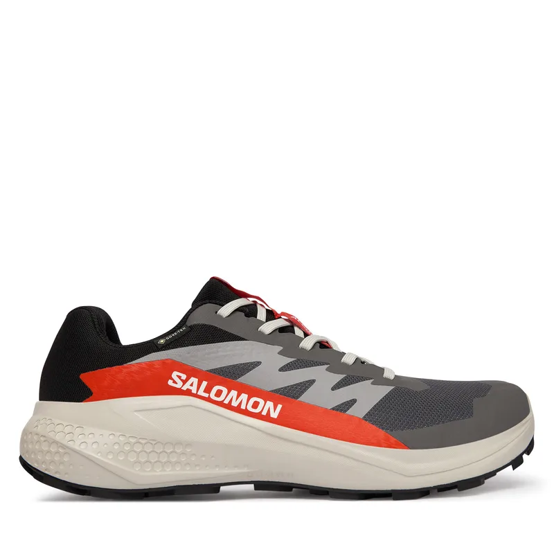 Παπούτσια για Τρέξιμο Salomon Alphaglide Gore-Tex L47975300 Γκρι