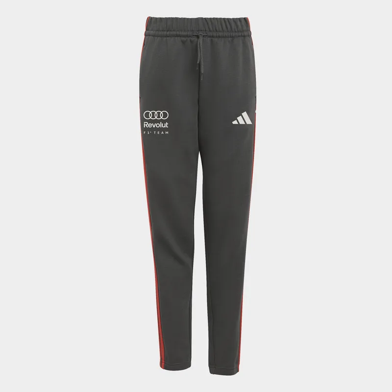 adidas K Audi Revolut F1 Team Dna Pant (9000274413_24617)