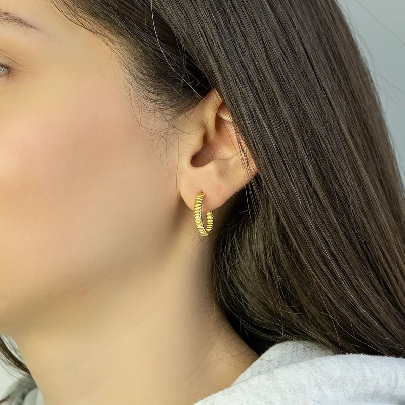 Σκουλαρίκια Κρίκοι από Επιχρυσωμένο Ασήμι SK2644