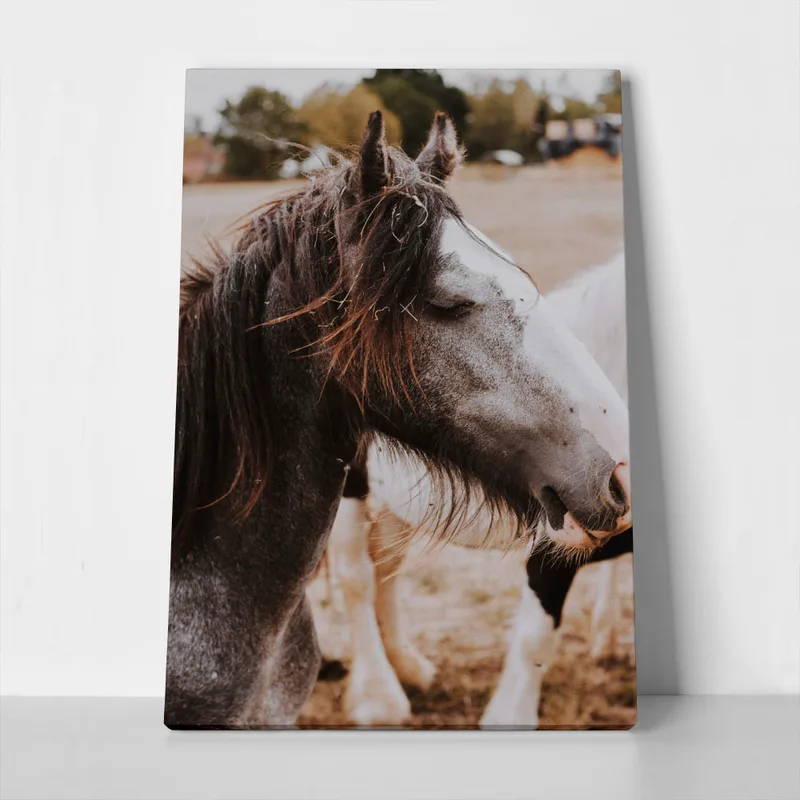 Πίνακας σε Καμβά RUSTIC FARMHOUSE HORSE 16