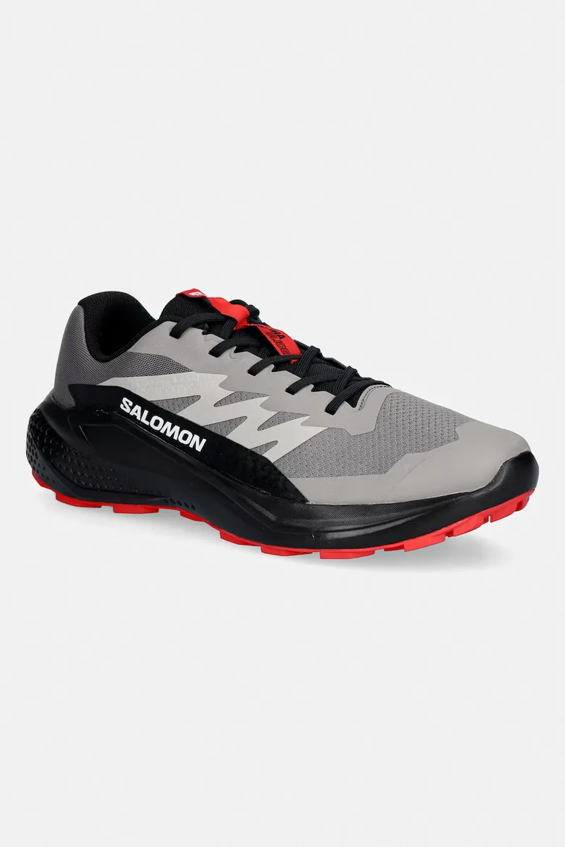 Παπούτσια Salomon ALPHAGLIDE