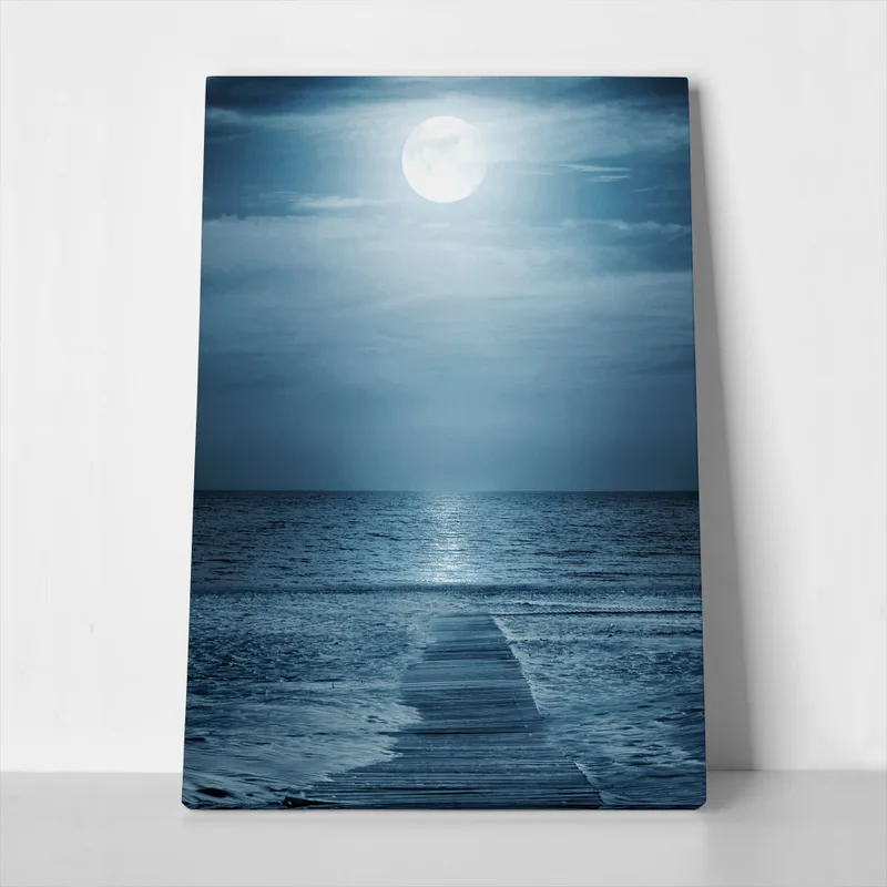Πινακας σε καμβά MOONLIGHT