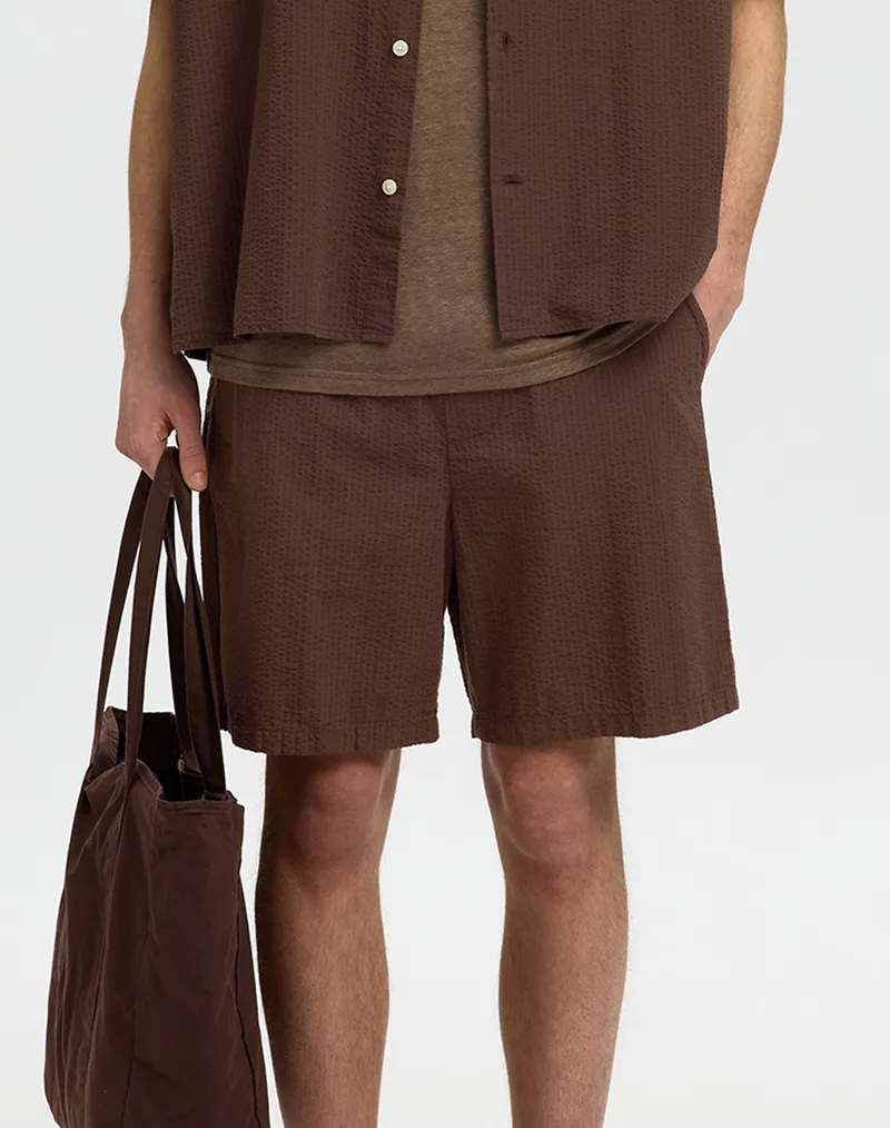 SELECTED SLHREGSTUART SEERSUCKER SHORTS 16101369-Bracken Brown