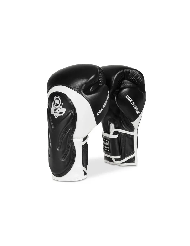 10oz Boxing Gloves Blaze White Legacy Series