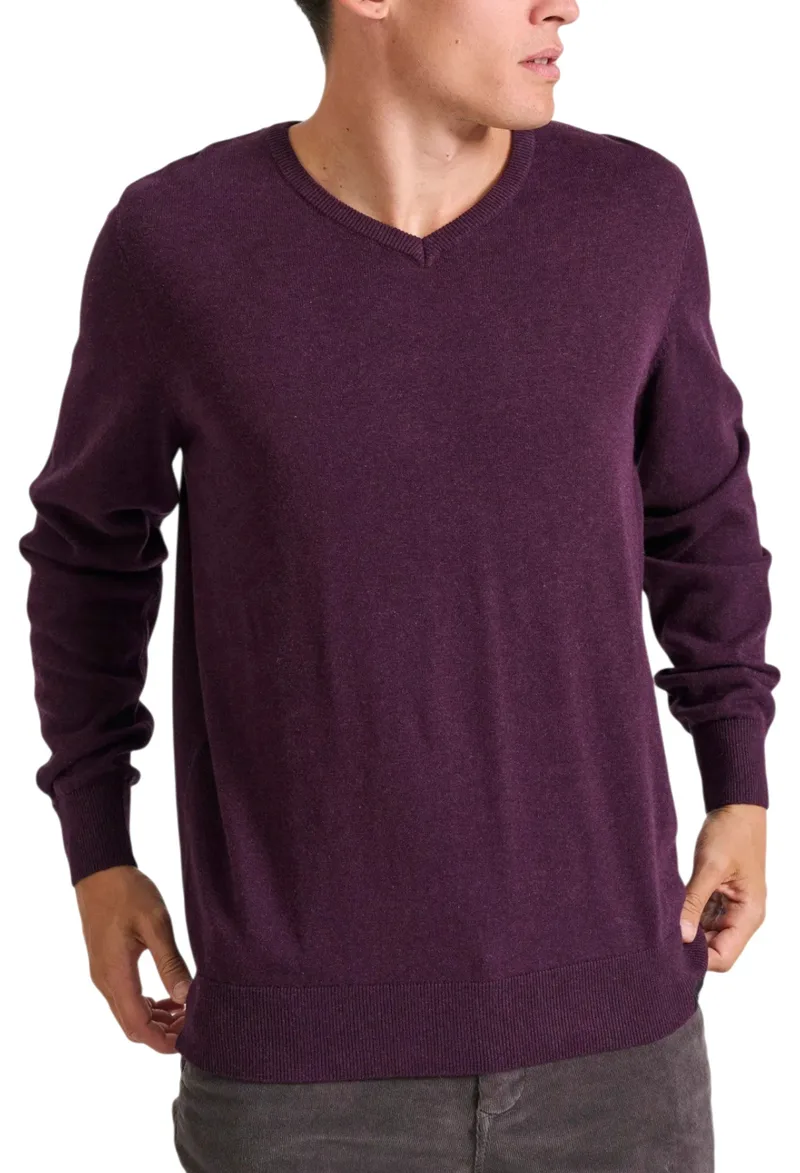 Πουλόβερ Funky Buddha Με V Λαιμόκοψη FBM010-002-09-PLUM MEL Ανδρικό