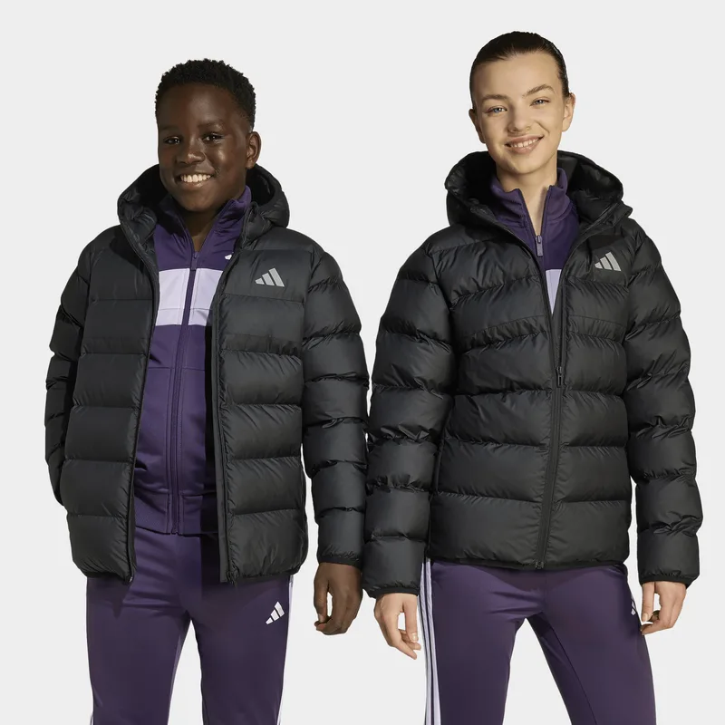 adidas sportswear J Sd Jkt (9000236593_3625)