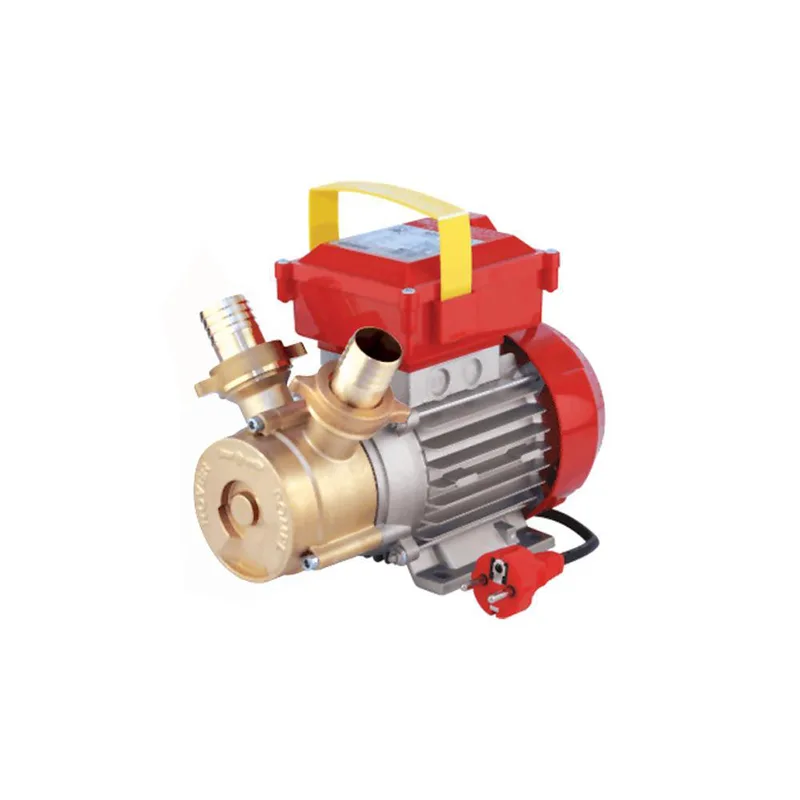 ηλεκτραντλια rover 35 ce 1hp 2850rpm