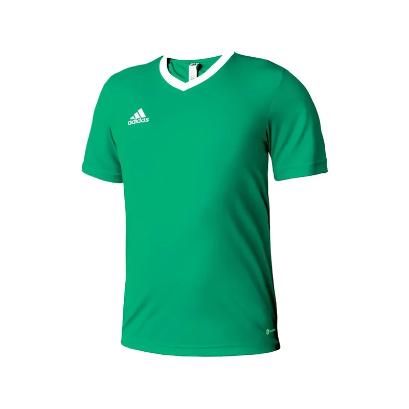 Αθλητικά μπλουζάκια adidas T-shirt entrada 22 vert/white