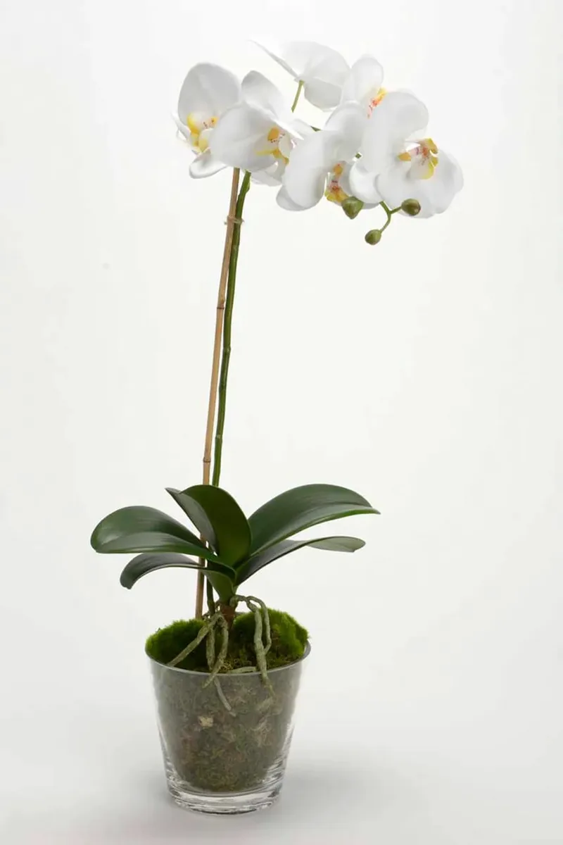 Τεχνητό φυτό σε γλάστρα home & lifestyle 63.5 cm